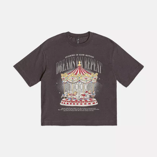 Blusa TShirt Carrossel Grafite Authoria