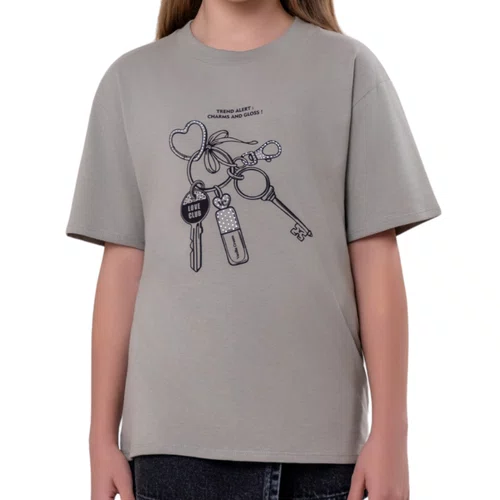 Blusa Tshirt Chaveiro Strass Cinza Vanilla