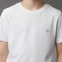 Camiseta Calvin Klein Omega Branco