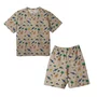 Conjunto Adesivo Tropical Bento