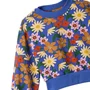 Conjunto Camomila Azul Fabula