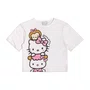 Conjunto Hello Kitty E Friends Tule Pink Momi