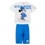 Conjunto Legging Azul Minnie e Mickey Anime