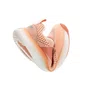 Tênis Esportivo Infantil Move One Salmon Knit Tip Toey Joey