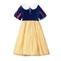 Vestido Classico Branca de Neve Princesa Anime