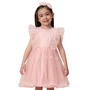 Vestido Festa Tule Poás Rosa Petit Cherie